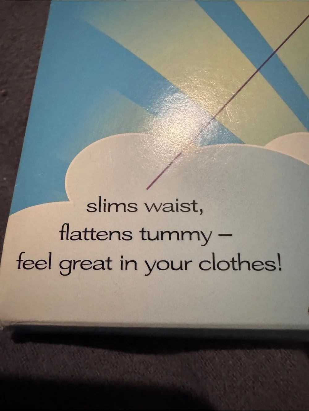 Spanx High-Waisted Pant New in Packaging